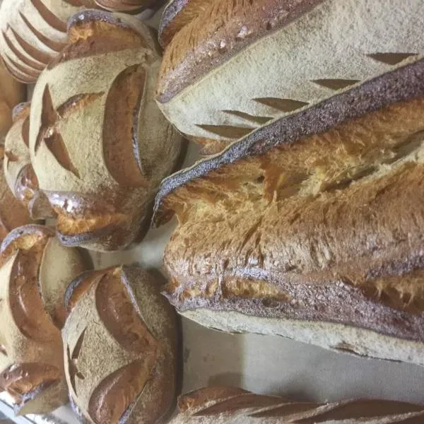 boulangerie (6)